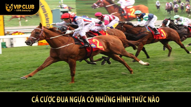 Cá cược đua ngựa có những hình thức nào