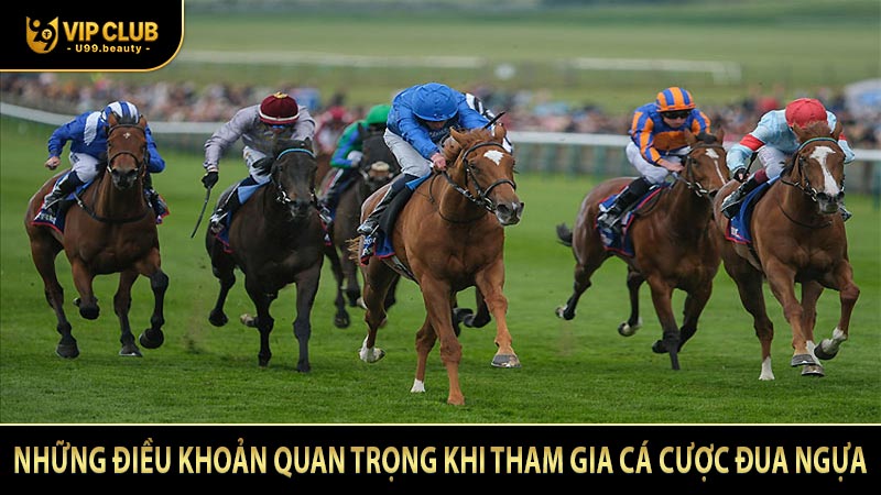 Những điều khoản quan trọng khi tham gia cá cược đua ngựa